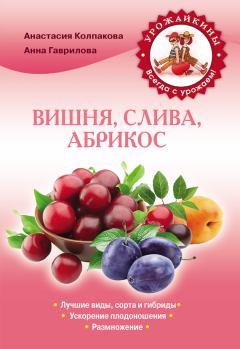 Обложка книги - Вишня, слива, абрикос. Анна Сергеевна Гаврилова - Litvek