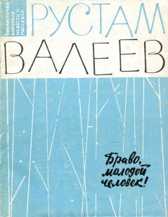 Книга - Браво, молодой человек!. Рустам Шавлиевич Валеев - прочитать в Litvek