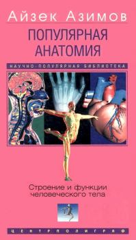 Обложка книги - Популярная анатомия. Строение и функции человеческого тела - Айзек Азимов