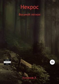 Книга - Восьмой легион. Хайдарали Мирзоевич Усманов - читать в ЛитВек