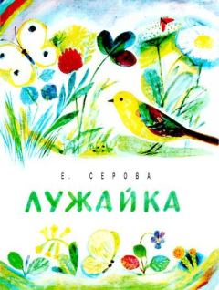 Обложка книги - Лужайка - Екатерина Васильевна Серова