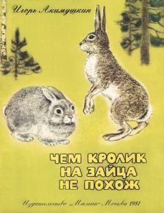 Книга - Чем кролик на зайца не похож. Игорь Иванович Акимушкин - читать в Litvek