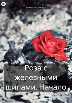 Обложка книги - Роза с железными шипами: Начало - Бальтазар Магнум