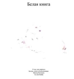 Книга - Белая книга. Виктор Васильев - прочитать в Litvek