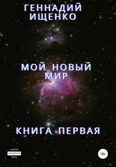 Книга - Мой новый мир. Книга 1. Геннадий Владимирович Ищенко - читать в Litvek
