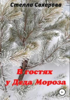 Обложка книги - В гостях у Деда Мороза - Стелла Сахарова
