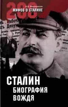 Книга - Сталин: биография вождя. Арсен Беникович Мартиросян - читать в Litvek