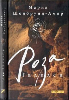 Книга - Роза Галилеи. Мария Шенбрунн-Амор - прочитать в Litvek