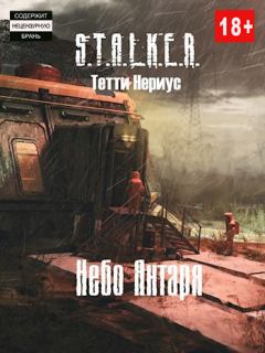 Книга - S.T.A.L.K.E.R. Небо Янтаря. Тетти Нериус - читать в Litvek