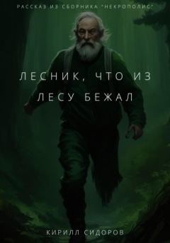 Книга - Лесник, что из лесу бежал. Кирилл Сидоров - читать в Litvek