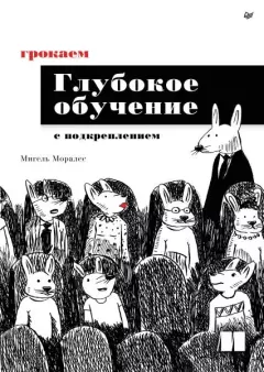 Книга - Грокаем глубокое обучение с подкреплением. Мигель Моралес - читать в Litvek