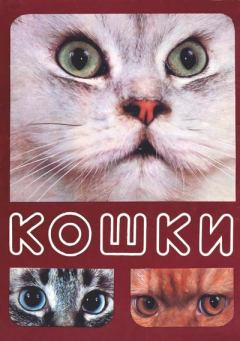 Книга - Кошки. Николай Николаевич Непомнящий - читать в Litvek