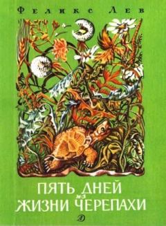 Книга - Пять дней из жизни черепахи  . Феликс Григорьевич Лев - прочитать в Litvek