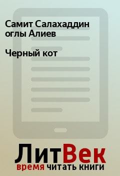 Обложка книги - Черный кот - Самит Салахаддин оглы Алиев