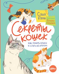 Обложка книги - Секреты кошек - Саша Рауш