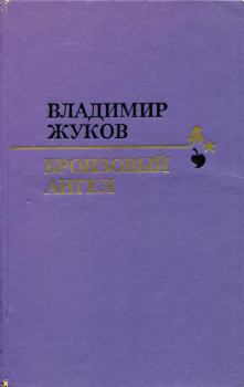 Книга - Бронзовый ангел. Владимир Николаевич Жуков - читать в Litvek