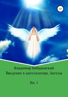 Книга - Введение в ангелологию. Ангелы. Владимир Небадонский - читать в Litvek