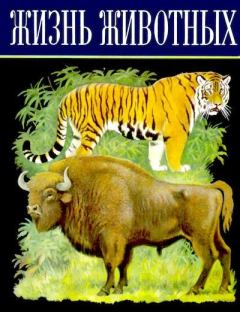Книга - Жизнь животных. Том 6. Млекопитающие, или звери. Лев Александрович Зенкевич - читать в Litvek