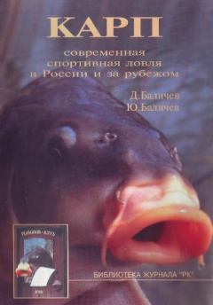 Книга - Карп. Дмитрий Баличев - читать в Litvek
