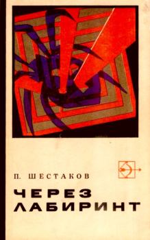 Обложка книги - Через лабиринт. Два дня в Дагезане - Павел Александрович Шестаков