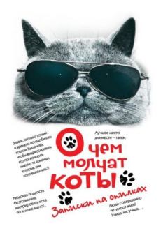Книга - О чём молчат коты. Андрей Михайлович Саргаев - прочитать в Litvek