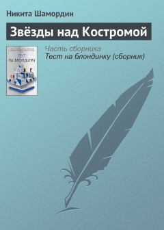 Книга - Звёзды над Костромой. Никита Шамордин - прочитать в Litvek