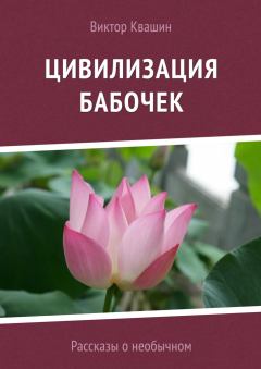 Обложка книги - Цивилизация бабочек - Виктор Квашин
