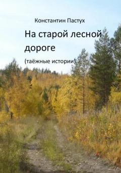 Обложка книги - На старой лесной дороге - Константин Пастух