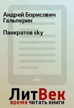 Книга - Панкратов sky. Андрей Борисович Гальперин - читать в Litvek