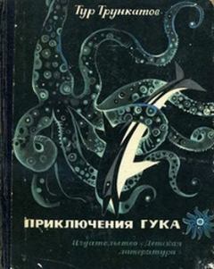 Книга - Приключения Гука. Тур Трункатов - прочитать в Litvek