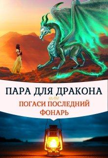 Книга - Пара для дракона, или погаси последний фонарь. Алиса Чернышова - читать в Litvek