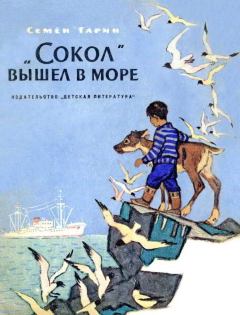 Книга - «Сокол» вышел в море. Семен Семенович Гарин - читать в Litvek
