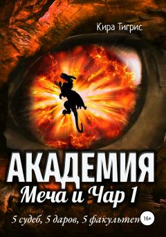 Книга - Академия Меча и Чар 1. Кира Тигрис - читать в Litvek