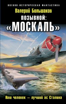 Обложка книги - Позывной Москаль-Наш человек-лучший ас Сталина - Валерий Петрович Большаков