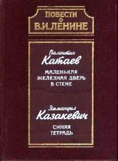 Книга - Синяя тетрадь. Эммануил Генрихович Казакевич - читать в Litvek