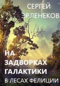 Обложка книги - В лесах Фелиции - Сергей Сергеевич Эрленеков
