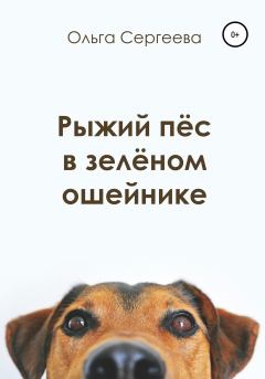 Обложка книги - Рыжий пёс в зелёном ошейнике - Ольга Сергеева