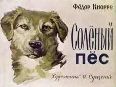 Книга - Солёный пёс. Федор Фёдорович Кнорре - читать в Litvek