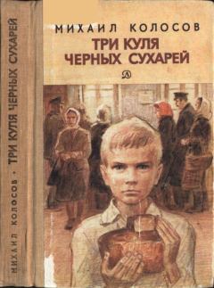 Книга - Три куля черных сухарей. Михаил Макарович Колосов - читать в Litvek