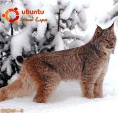 Книга - Руководство по переходу на Ubuntu 10.04 LTS «Lucid Lynx». Вадим Неворотин - прочитать в Litvek