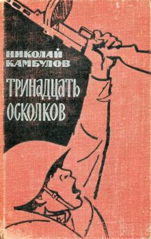 Книга - Тринадцать осколков. Николай Иванович Камбулов - прочитать в Litvek