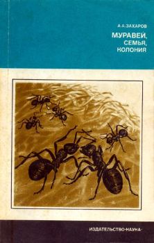 Книга - Муравей, семья, колония. Анатолий Александрович Захаров - читать в Litvek