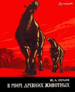 Обложка книги - В мире древних животных - Юрий Александрович Орлов (Палеонтолог)