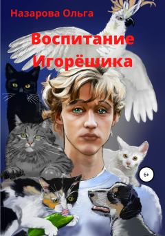 Книга - Воспитание Игорёшика. Ольга Станиславовна Назарова - читать в Litvek