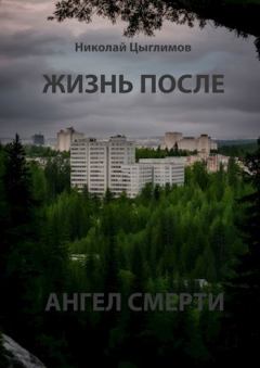 Обложка книги - Жизнь после. Ангел Смерти - Н. А. Цыглимов