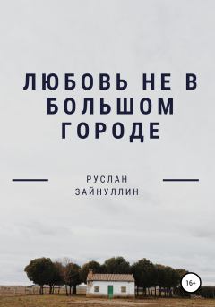 Обложка книги - Любовь не в большом городе - Руслан Ринатович Зайнуллин