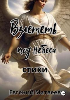 Обложка книги - Взлететь под небеса - Евгений Матвеев