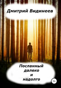 Книга - Посланный далеко и надолго. Дмитрий Александрович Видинеев - прочитать в Litvek