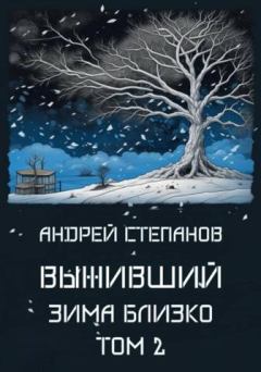 Обложка книги - Зима близко. Том 2 - Андрей Валерьевич Степанов