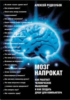 Книга - Мозг напрокат. Как работает человеческое мышление и как создать душу для компьютера. Алексей Дмитриевич Редозубов - прочитать в Litvek